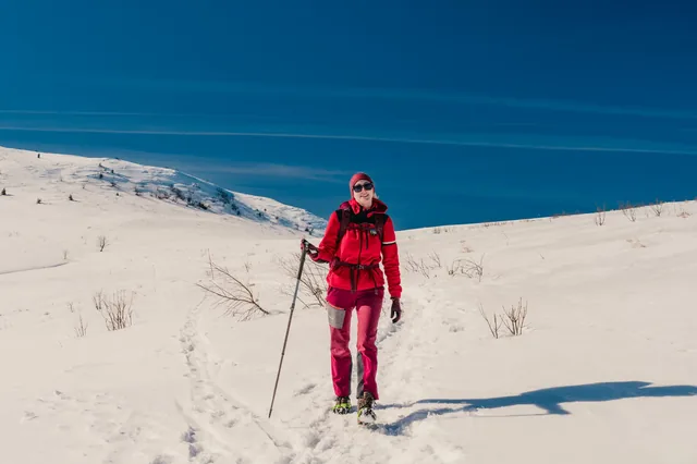 Hiker in a red jacket with poles on a winter trail.