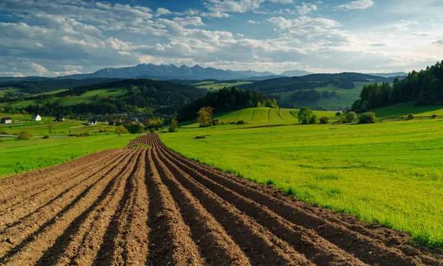 Furrows across a field leading towards green hills.