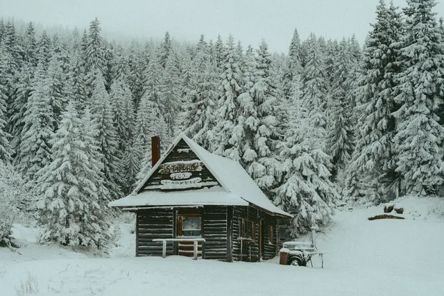 Small wooden building at the edge of a winter forest.
