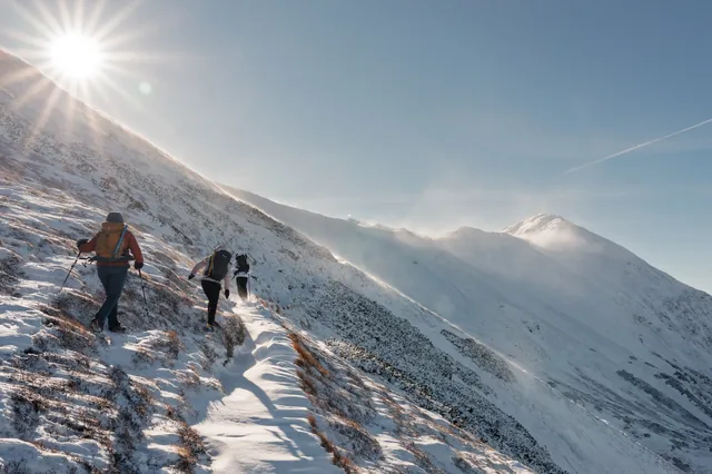 Hikers on snowy steps along a mountain trail.