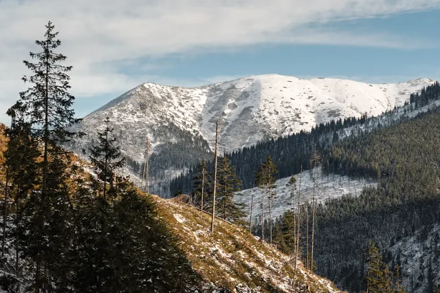 Mountain ridge above a winter forest.