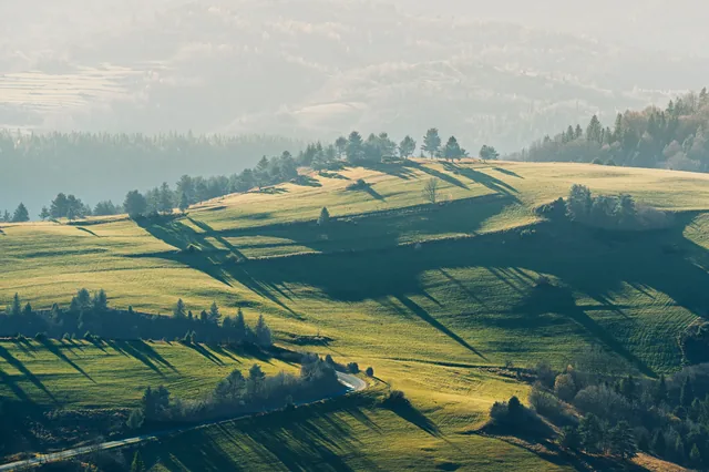 Long tree shadows across green fields.