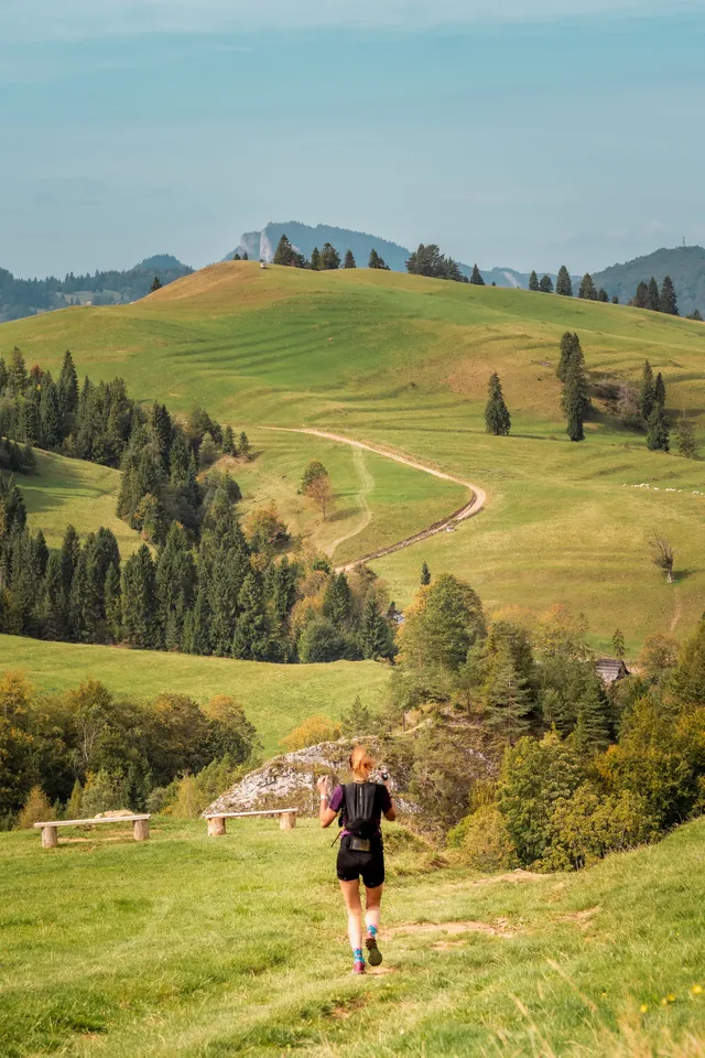 Runner heading away across an open mountain meadow.