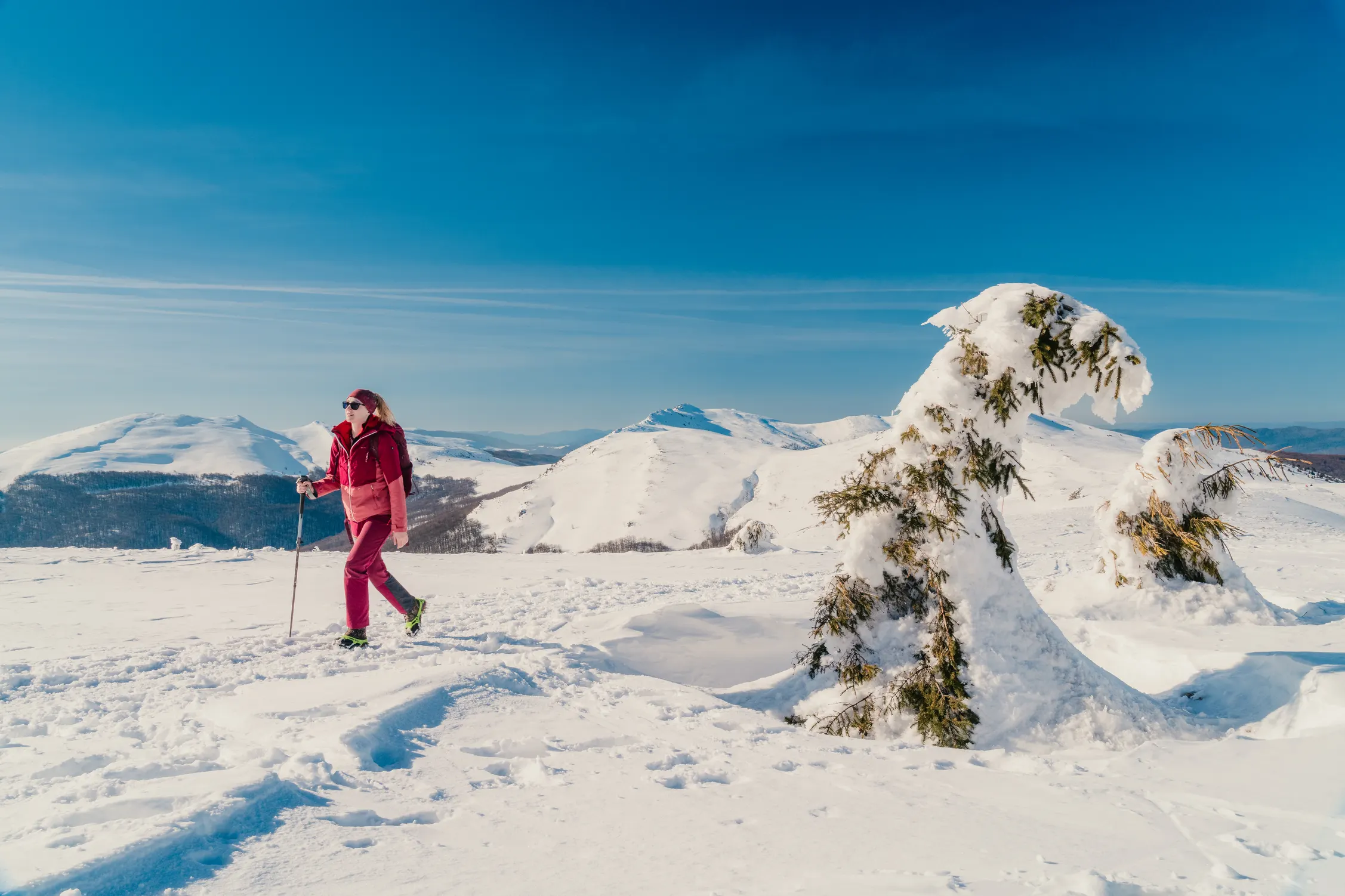 Bieszczady 26 — zdjęcie 49