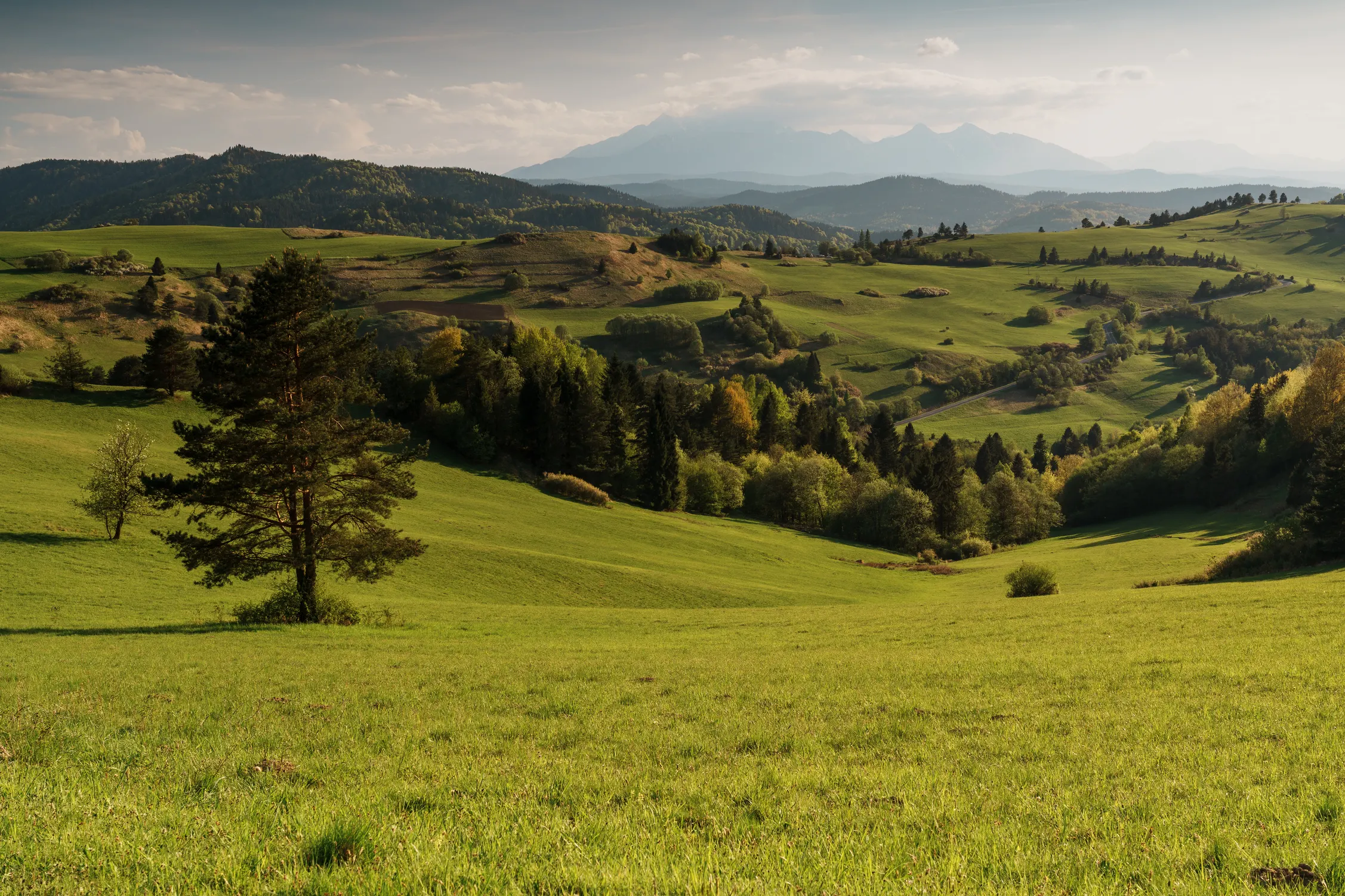 Pieniny Wiosna 25 — zdjęcie 51
