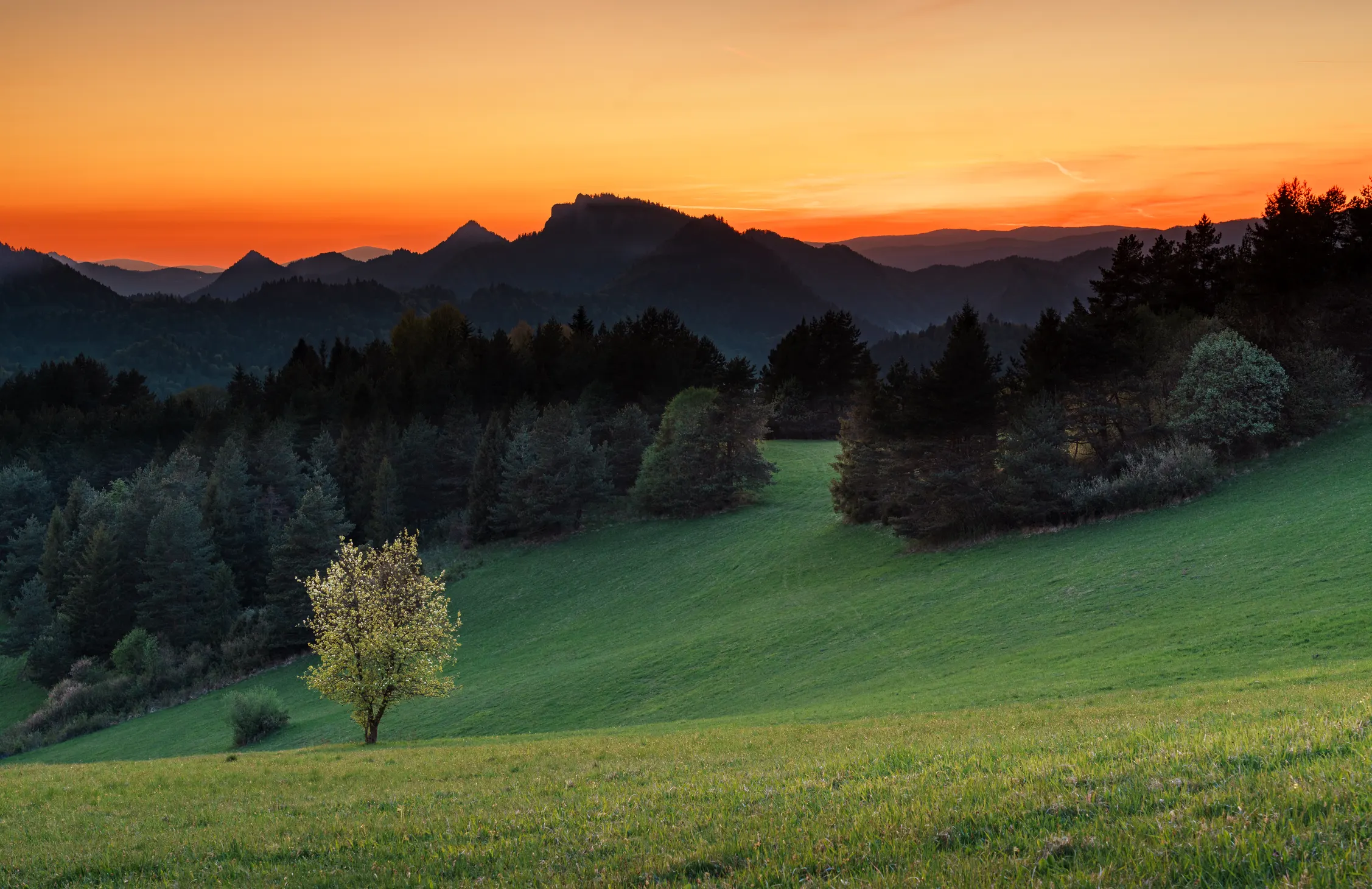 Pieniny Wiosna 25 — zdjęcie 52