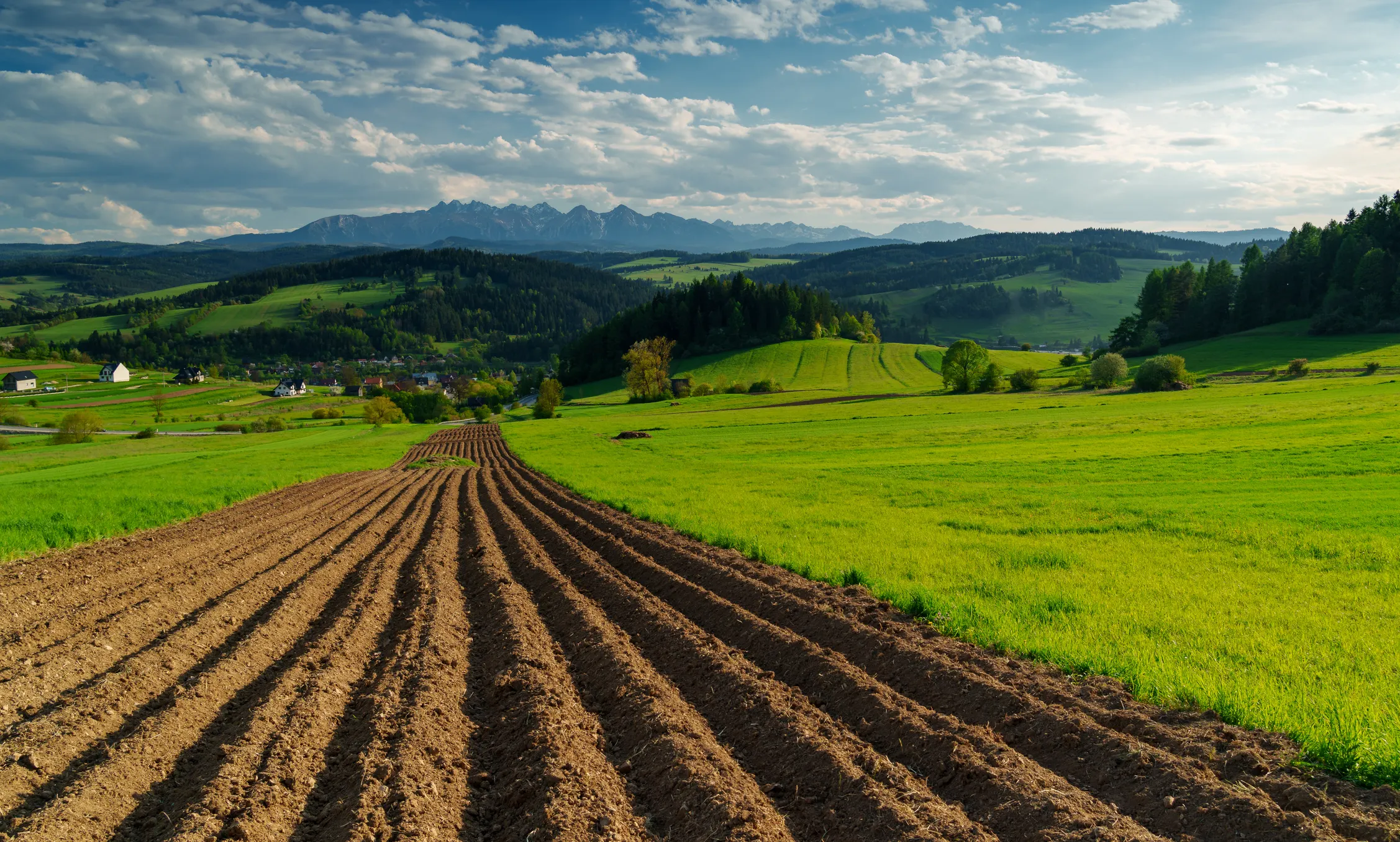 Pieniny Wiosna 25 — zdjęcie 53