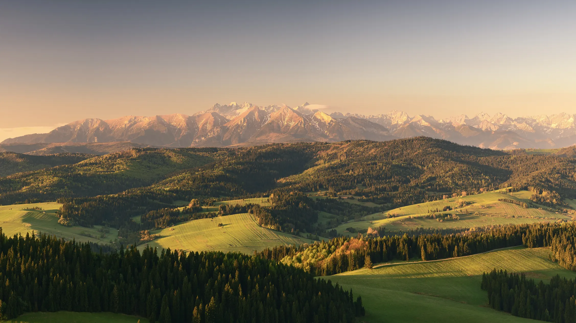 Pieniny Wiosna 25 — zdjęcie 54