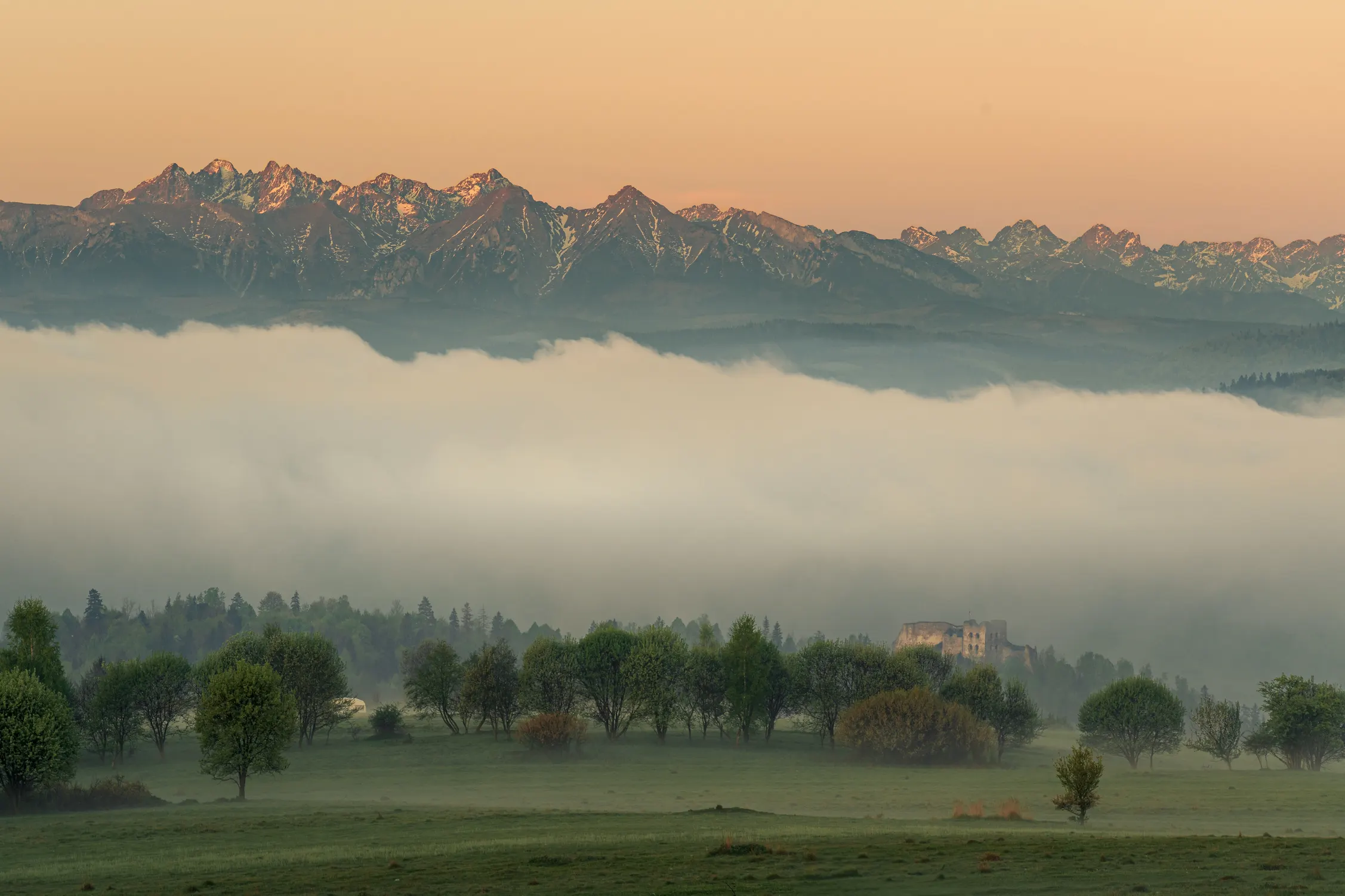 Pieniny Wiosna 25 — photo 68