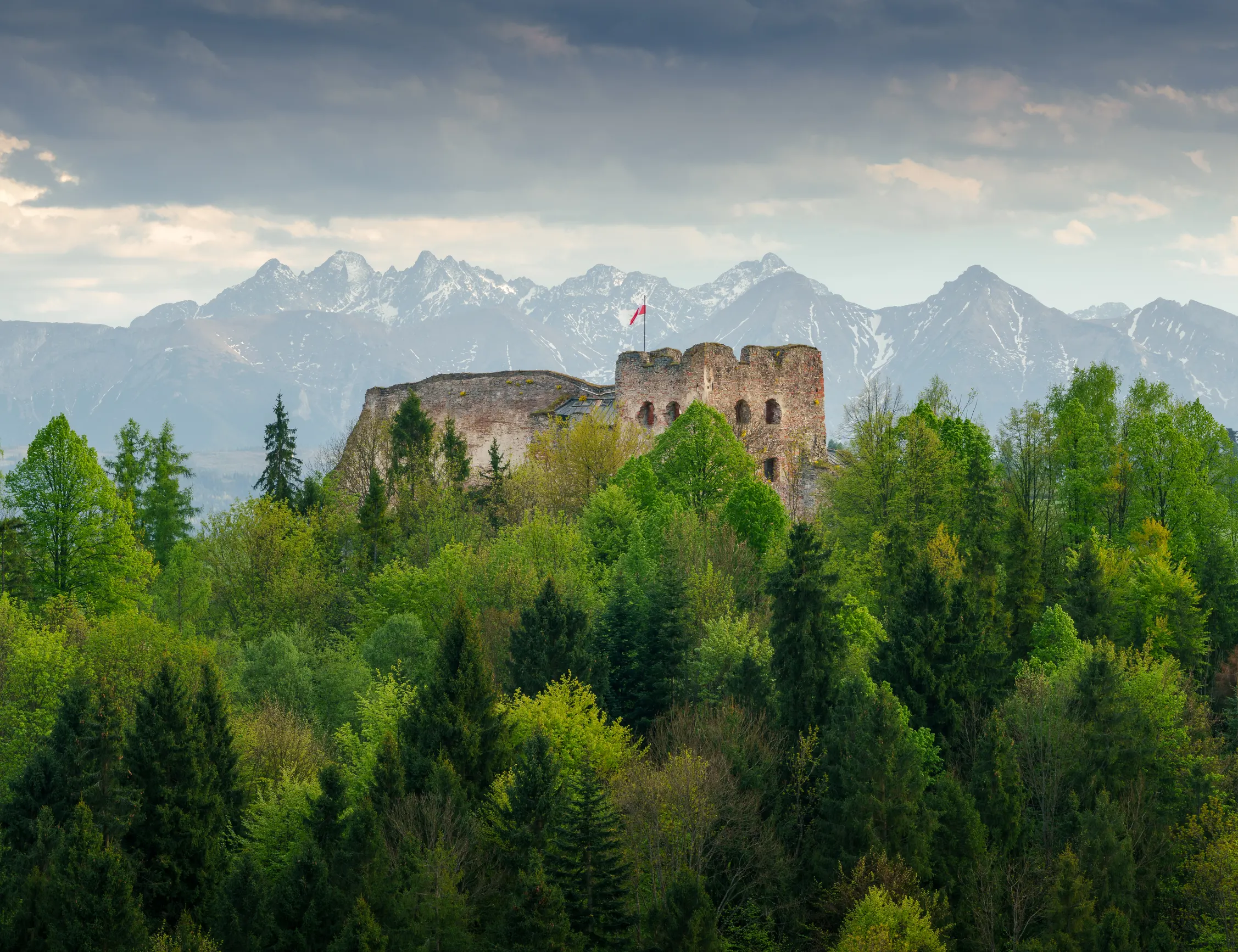 Pieniny Wiosna 25 — zdjęcie 55