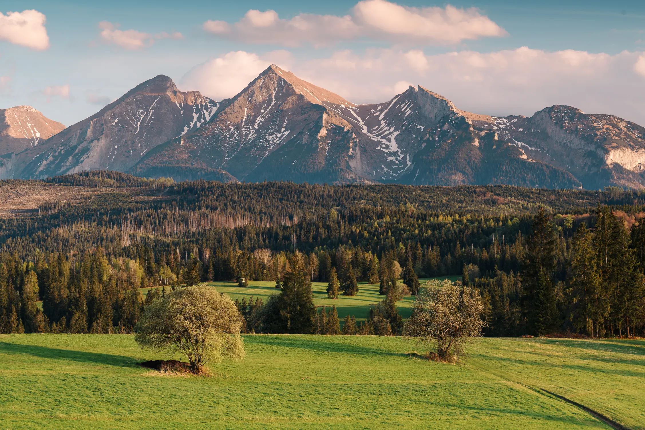Pieniny Wiosna 25 — zdjęcie 56