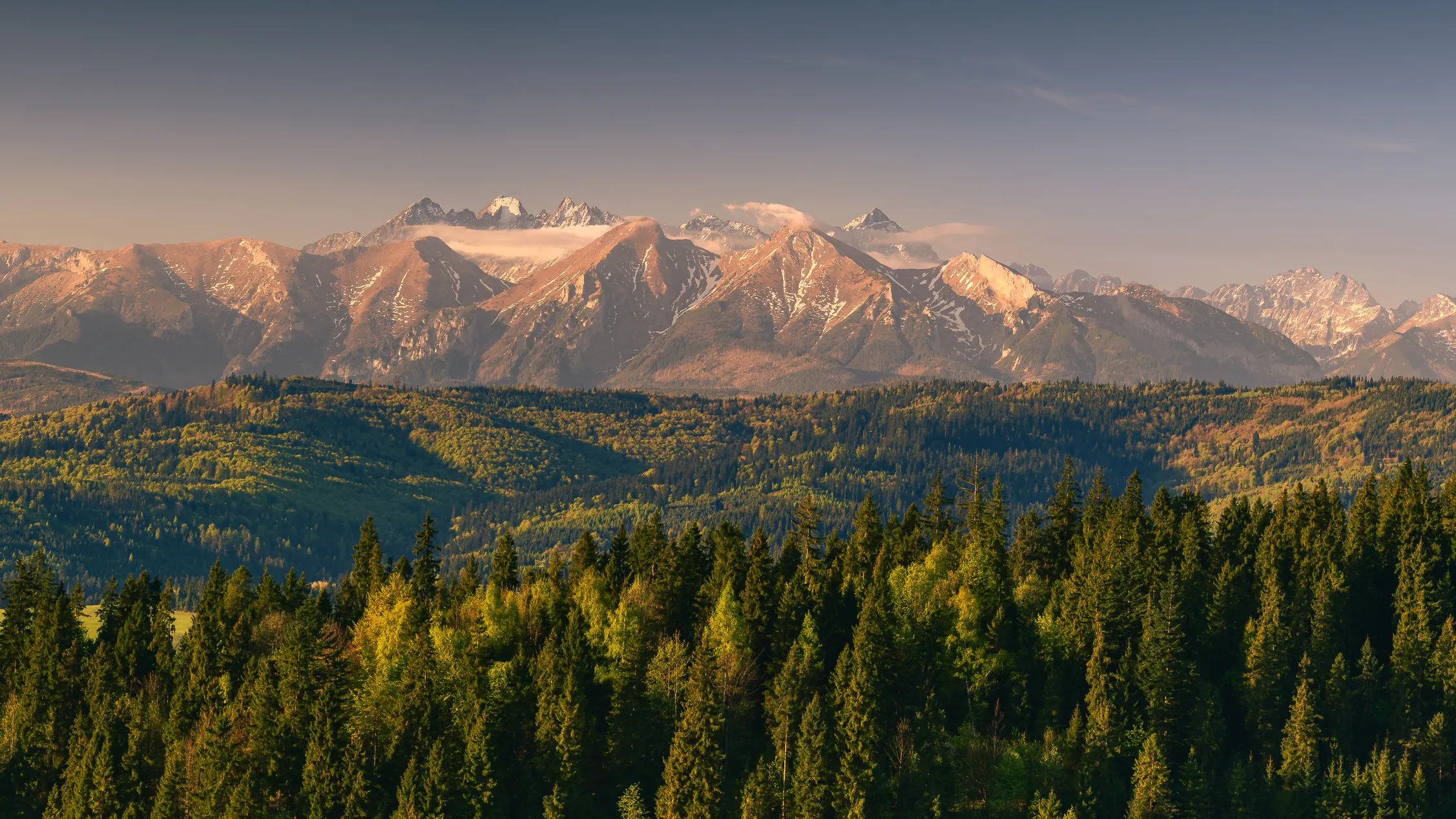 Pieniny Wiosna 25 — zdjęcie 57
