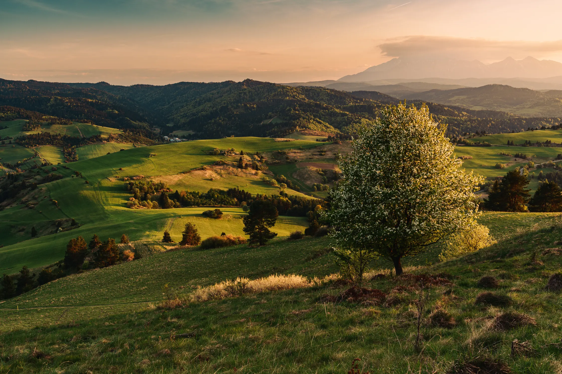 Pieniny Wiosna 25 — photo 72