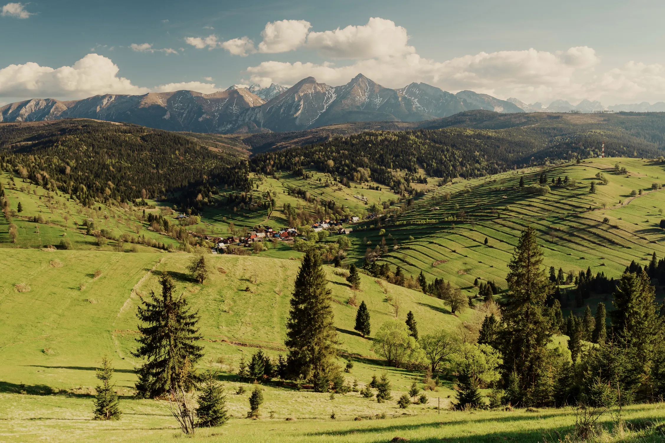 Pieniny Wiosna 25 — photo 74