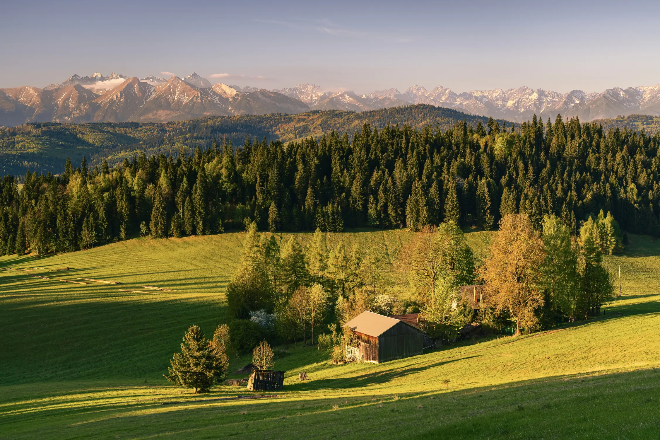 Pieniny Wiosna 25 — zdjęcie 58
