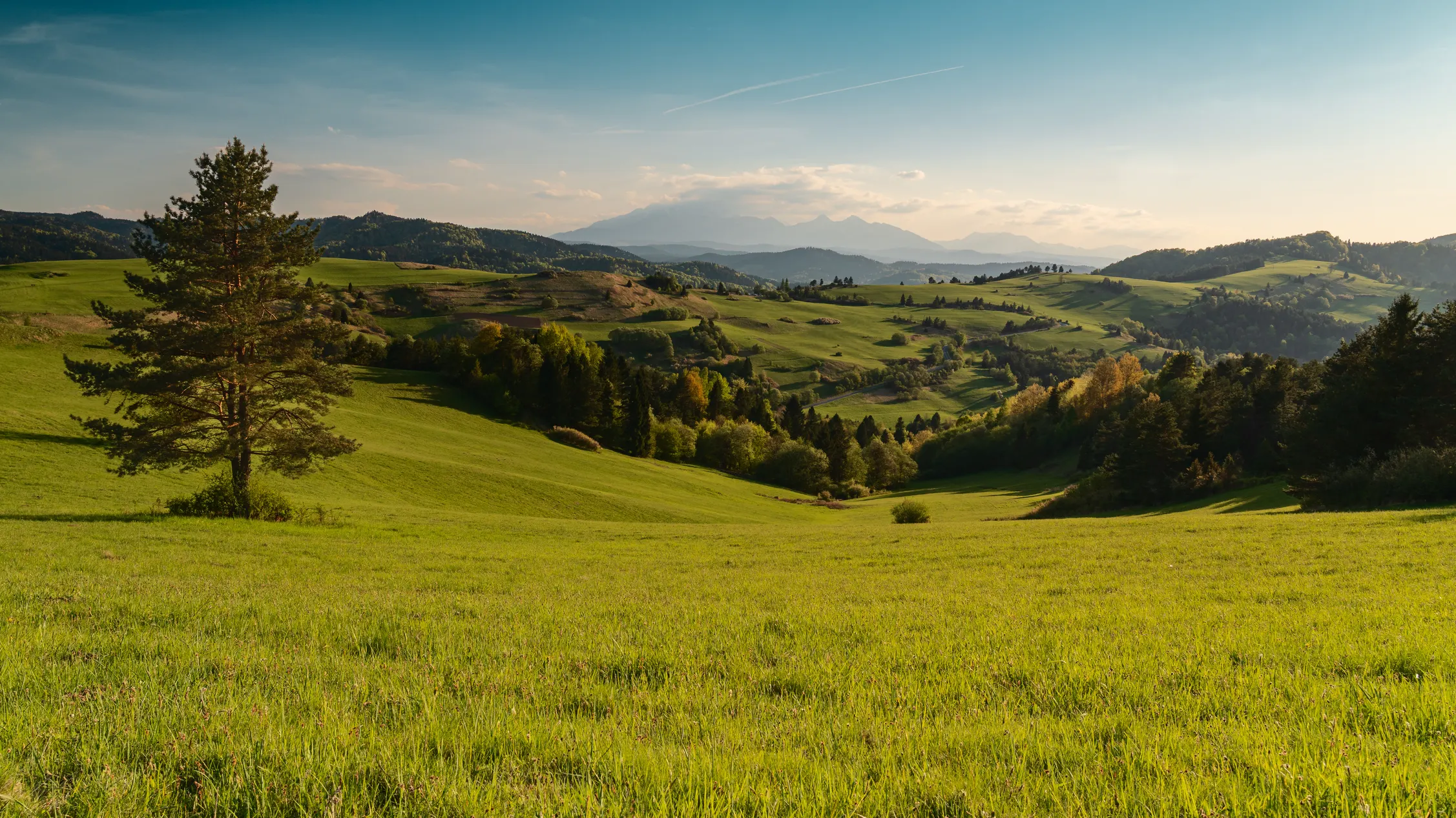 Pieniny Wiosna 25 — zdjęcie 59