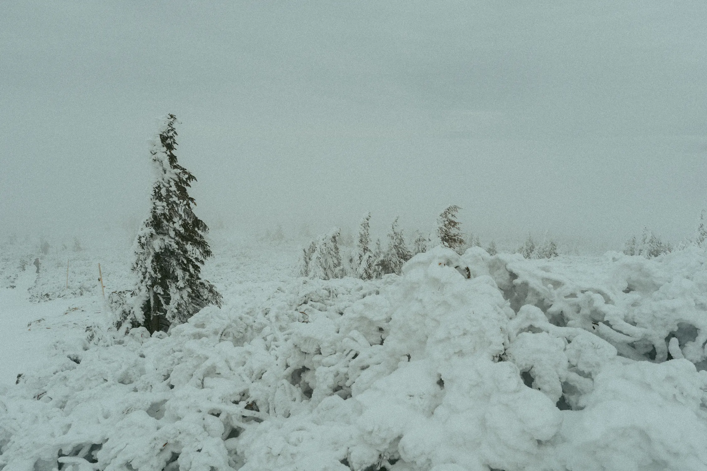 Pilsko 26 — photo 82
