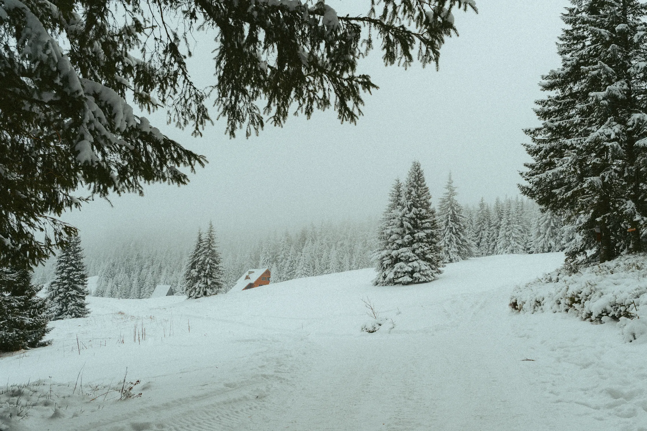 Pilsko 26 — photo 83