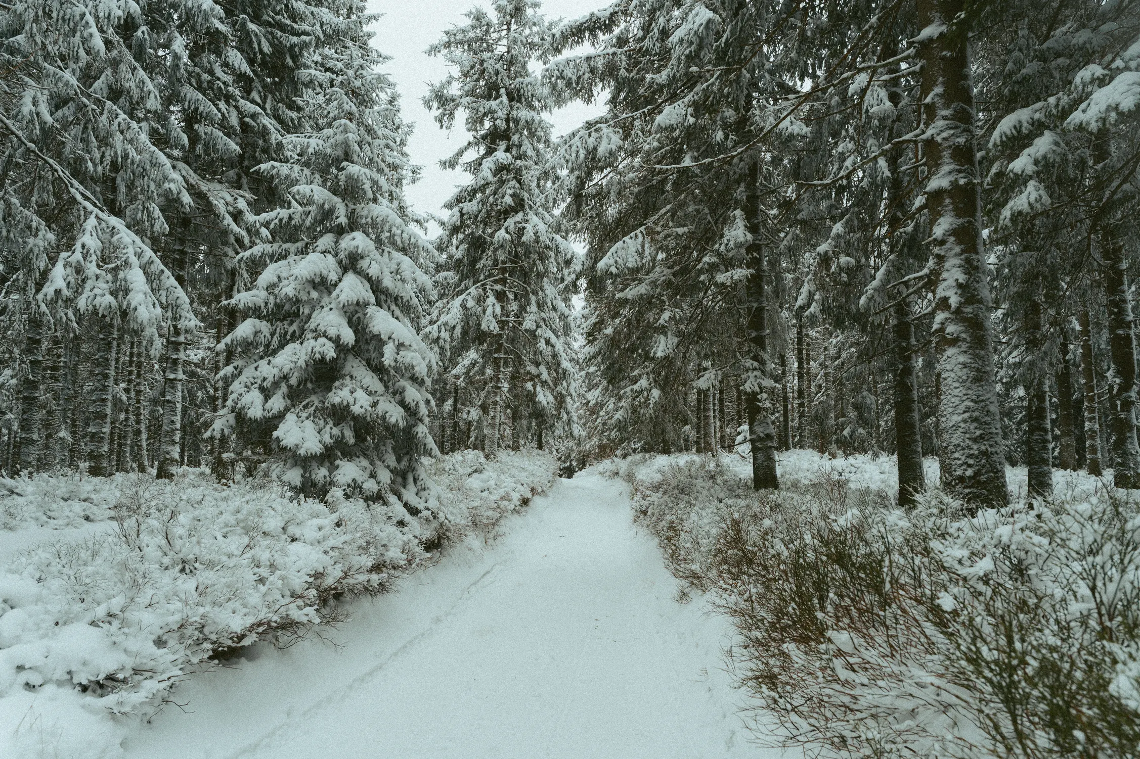 Pilsko 26 — photo 89