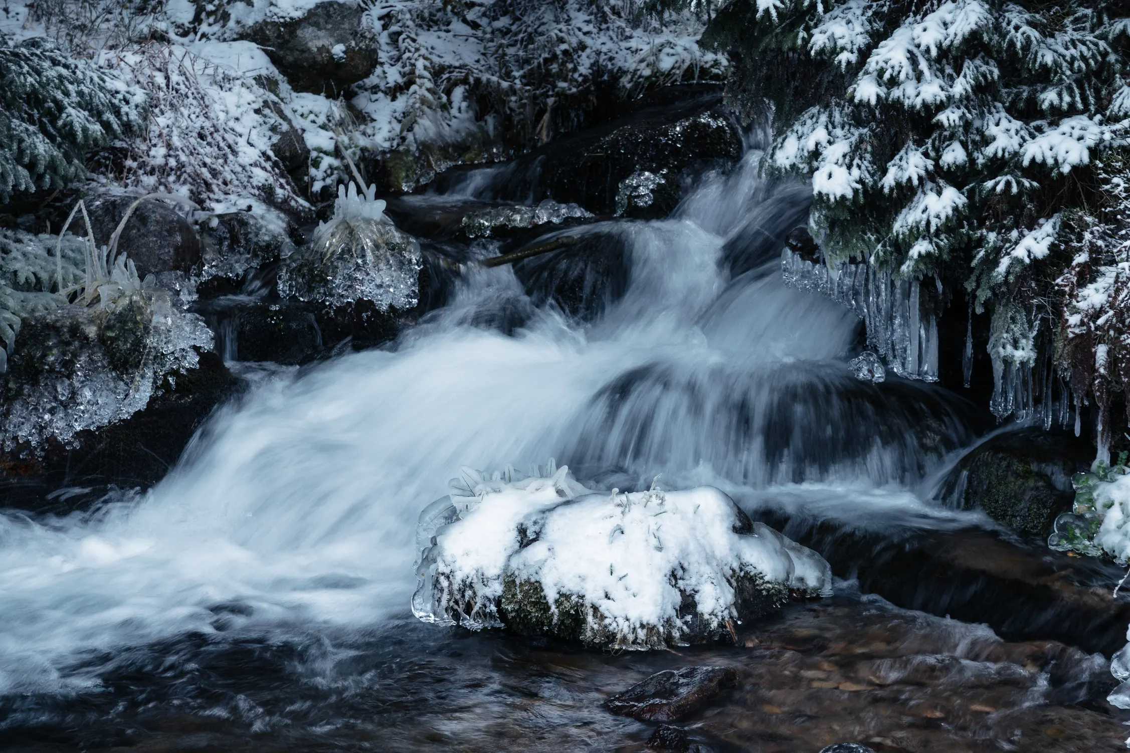 Tatry Zachodnie Zima 25 — photo 99