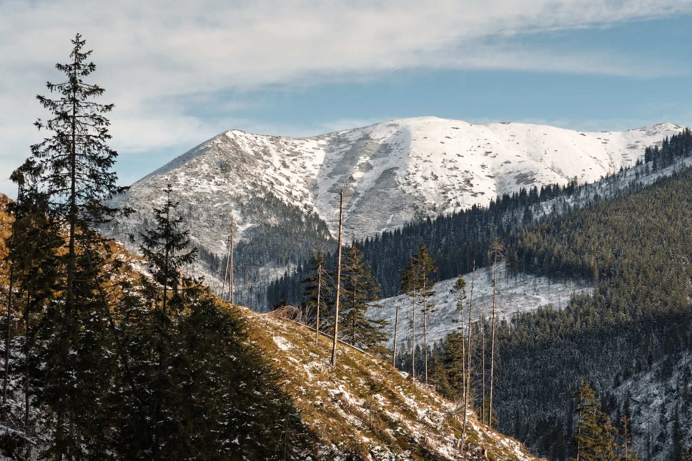 Tatry Zachodnie Zima 25 — photo 106
