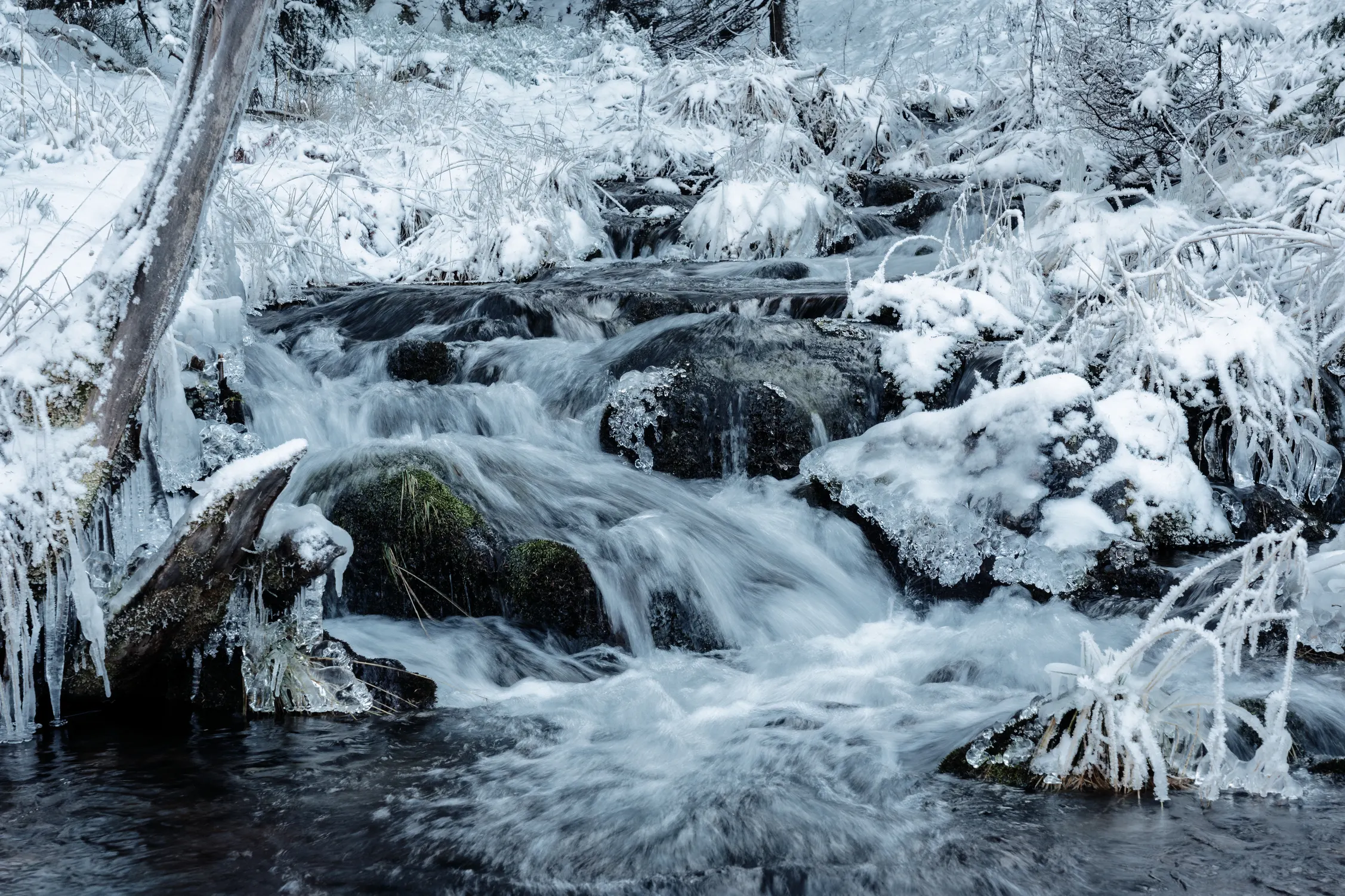 Tatry Zachodnie Zima 25 — photo 118