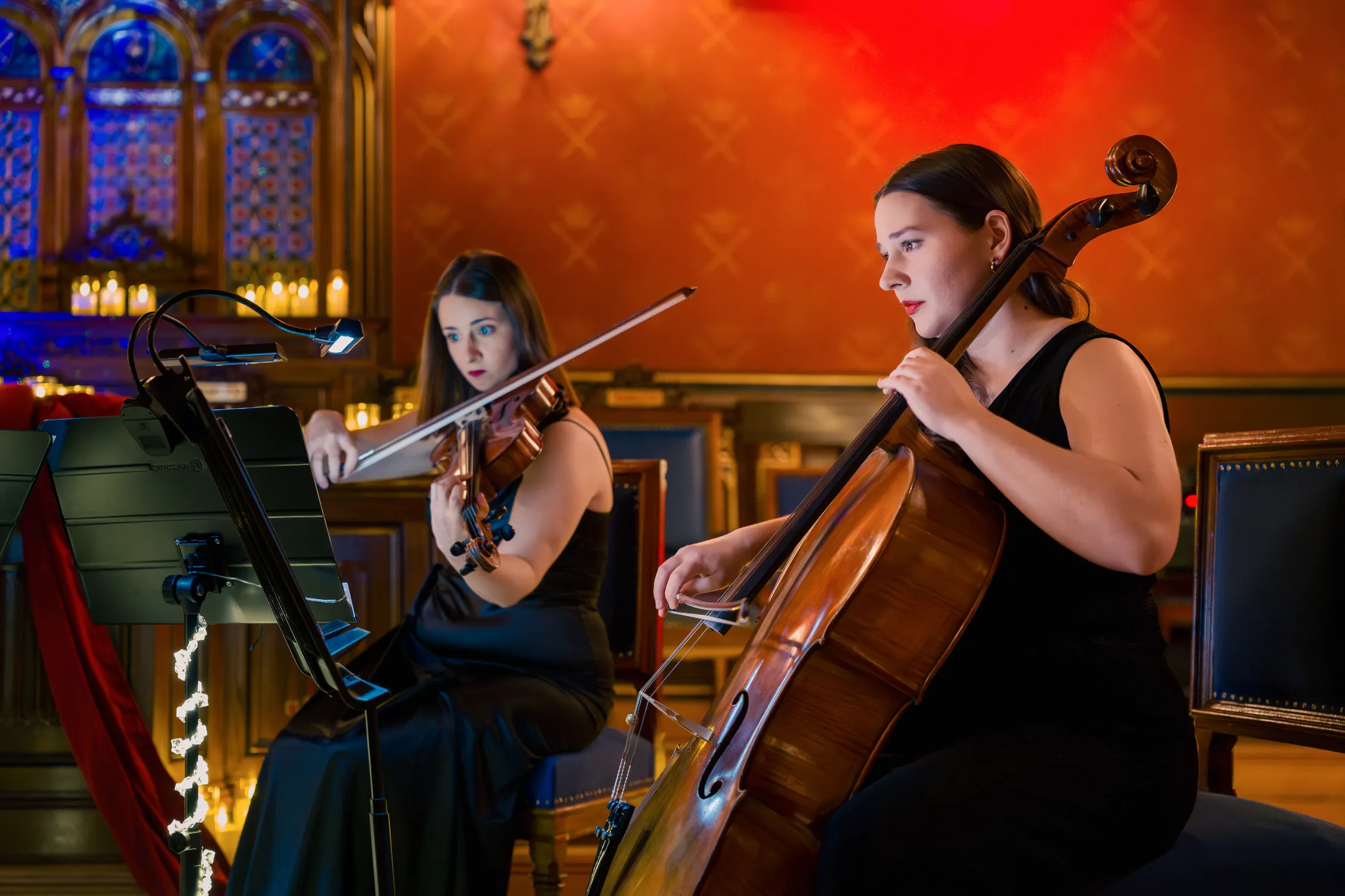 Koncert Collegium Novum — photo 7